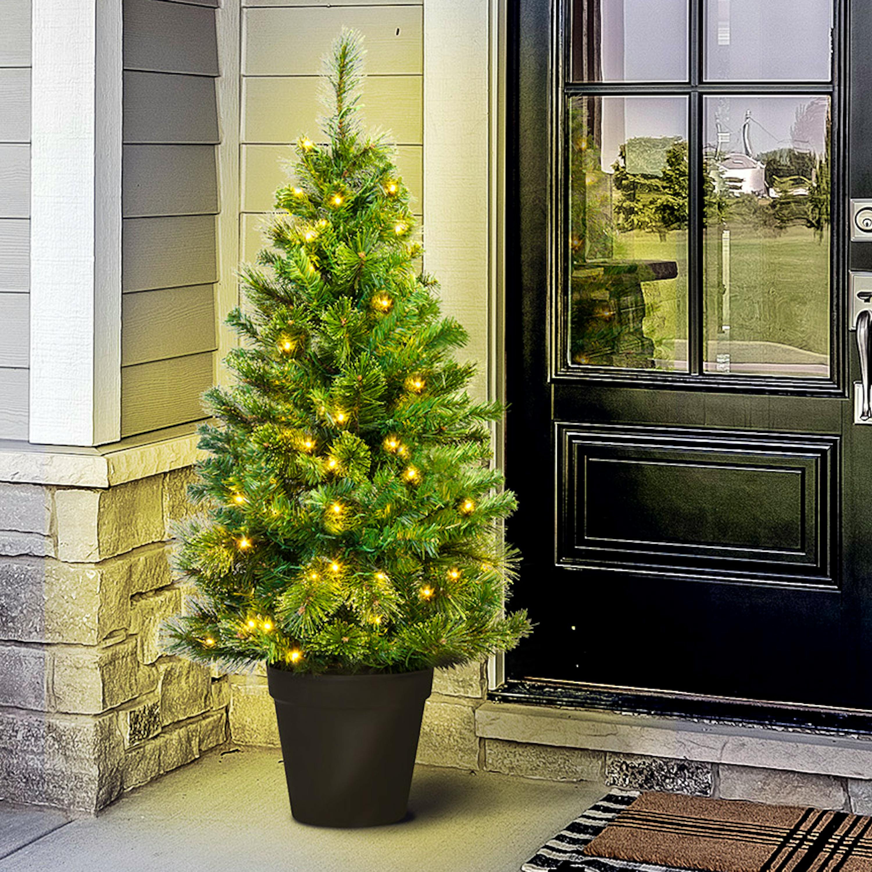 Christmas Tree World 4ft Pre-Lit Majestic Dew Pine Outdoor Potted Tree