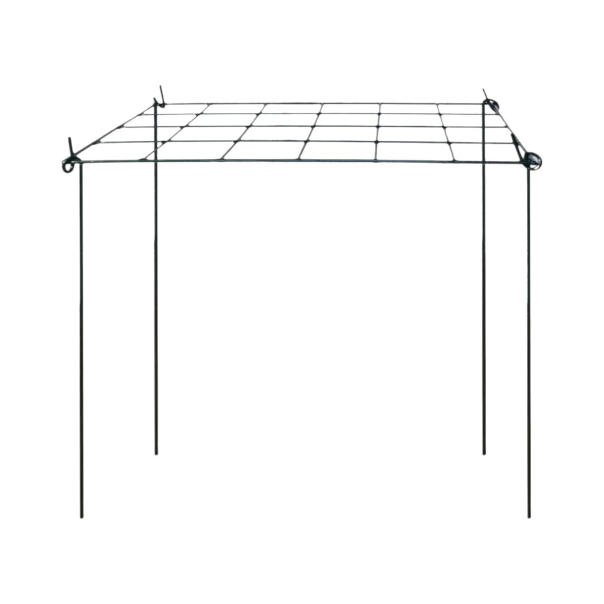Garden Pride Pack of 3 Grow Through Rectangle Plant Supports - Green