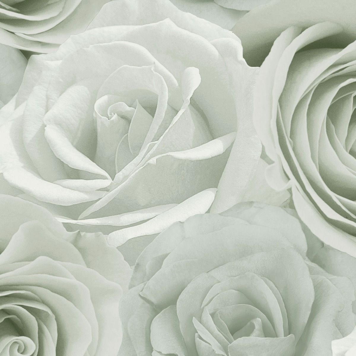 World Of Wallpaper Melany Rose Wallpaper - Sage Green