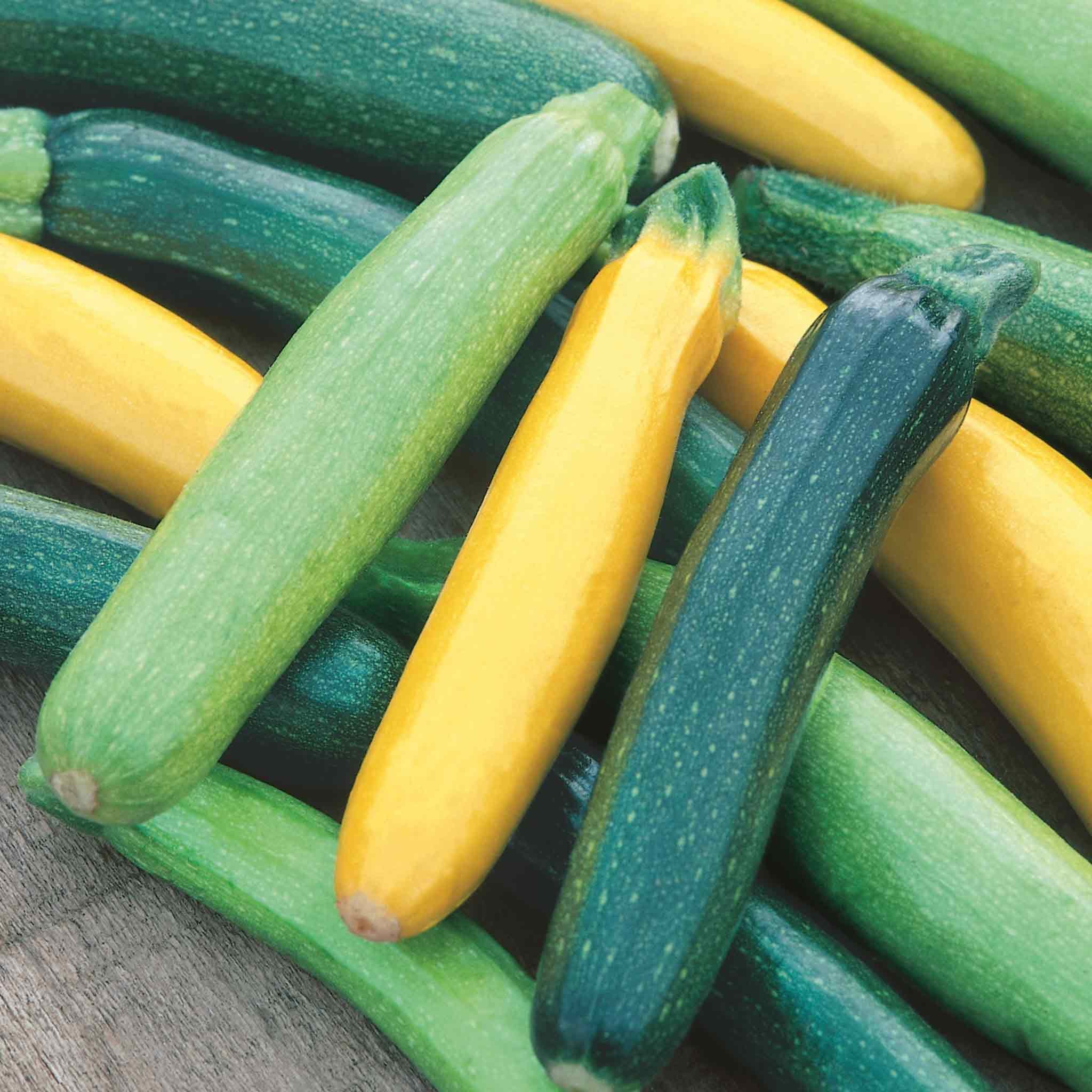 Unwins Courgette Seeds 'Tristar' - 8 Seeds