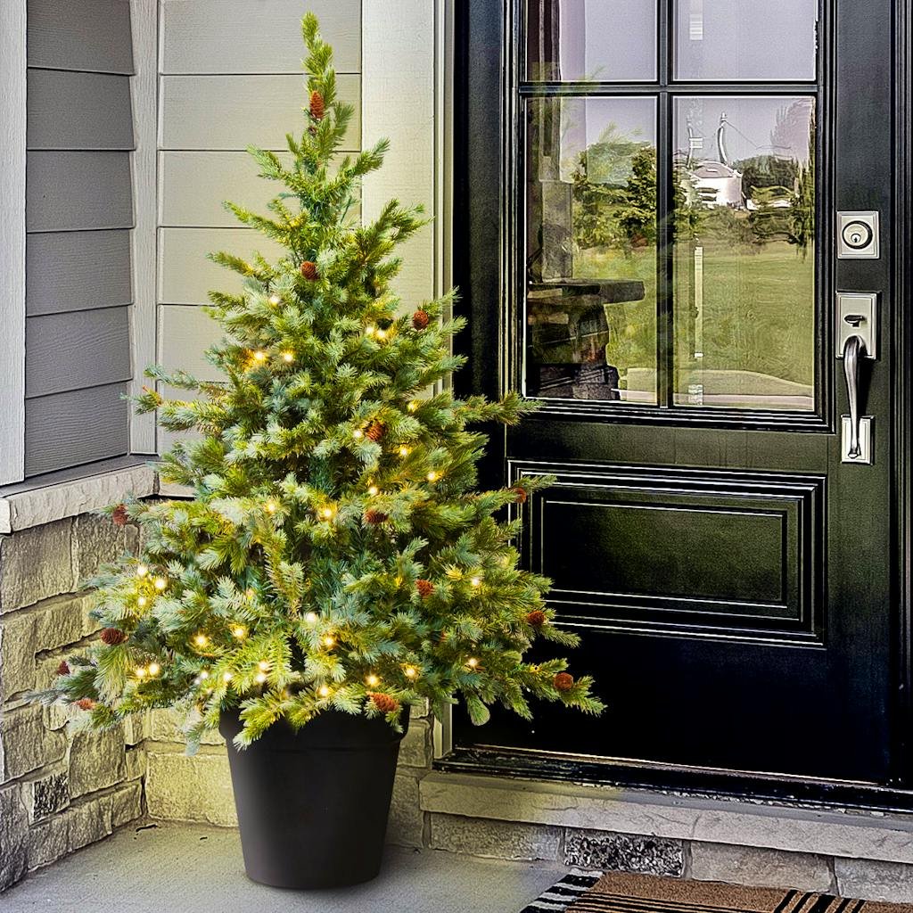 Christmas Tree World 5ft Pre-Lit Cairngorm Pine Indoor/Outdoor Potted Tree