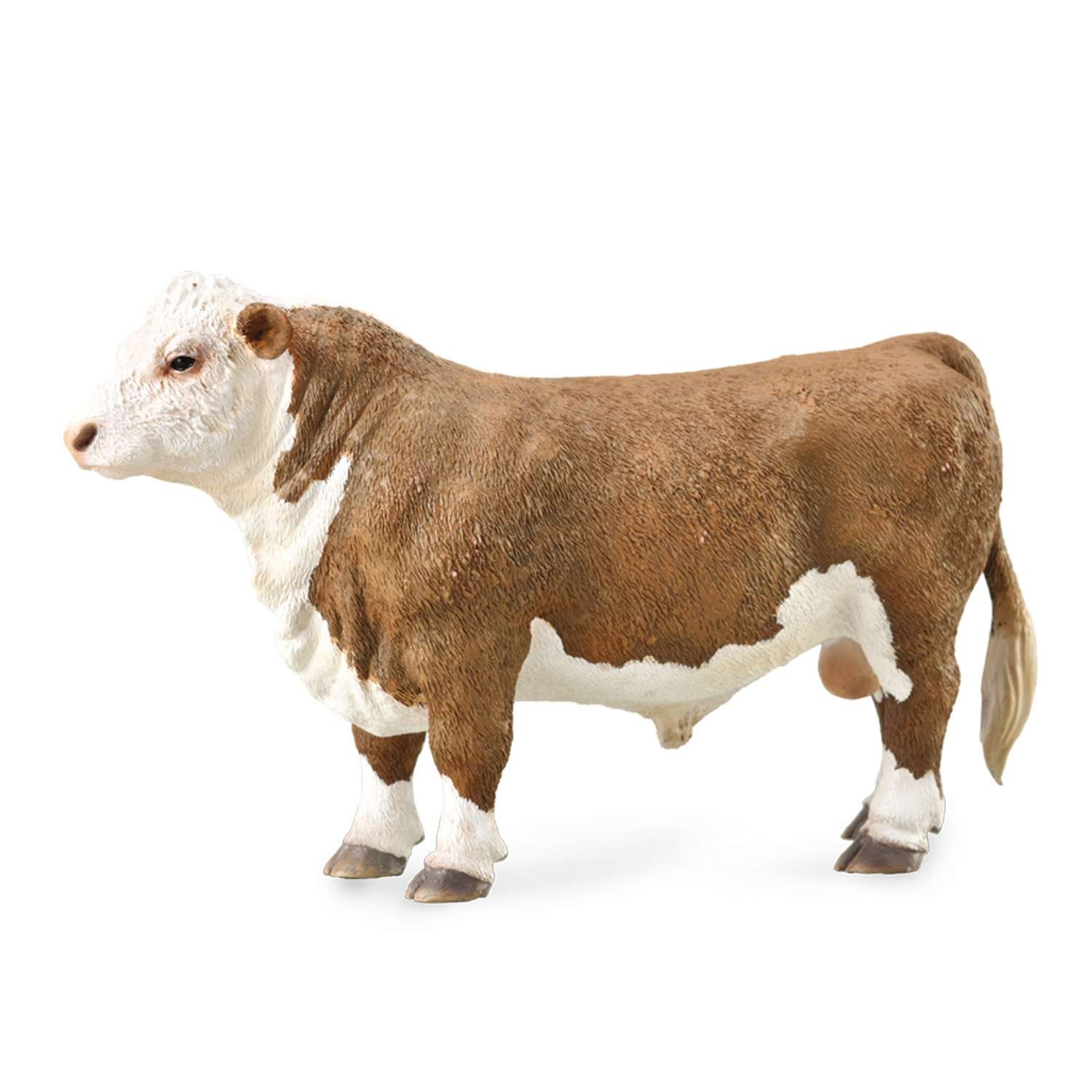 CollectA Hereford Bull (Polled) - 3 Years +