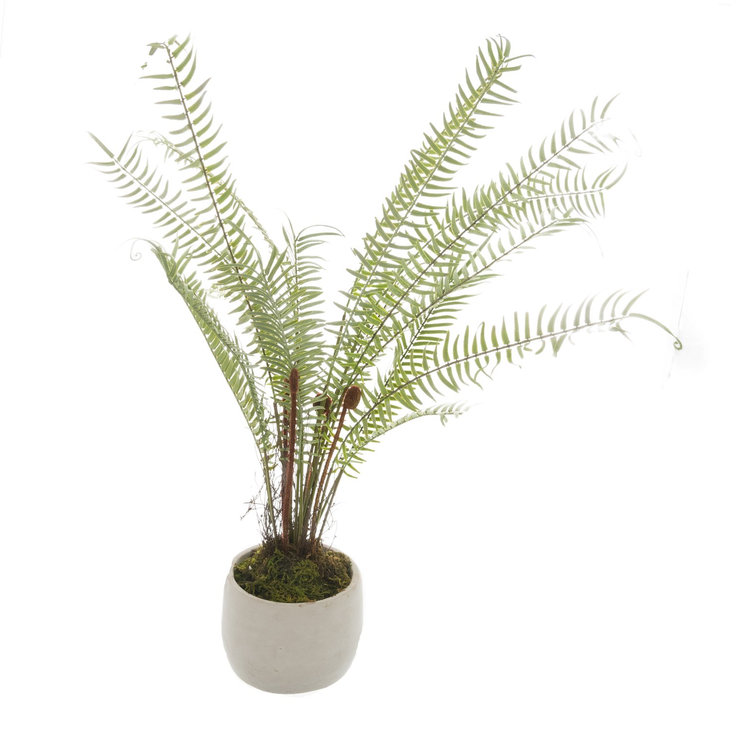 Hill Interiors Boston Fern Artificial Plant - Green & White
