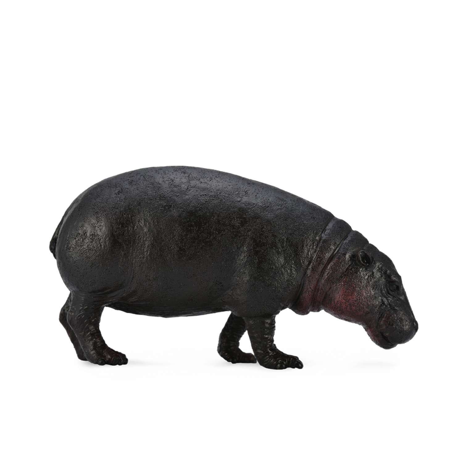 CollectA Pygmy Hippopotamus - 3 Years +