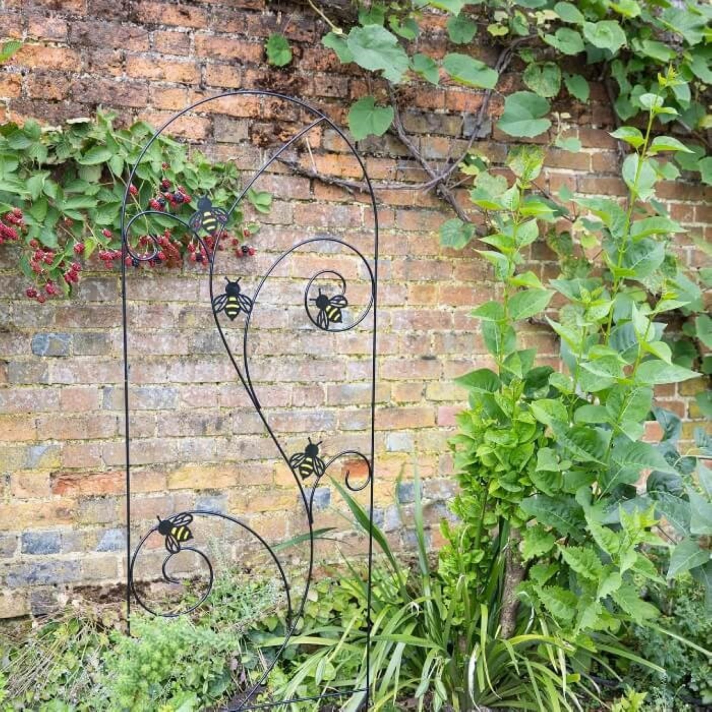 Primrose Bee-Conscious Garden Trellis Plant Support in Black - 170cm
