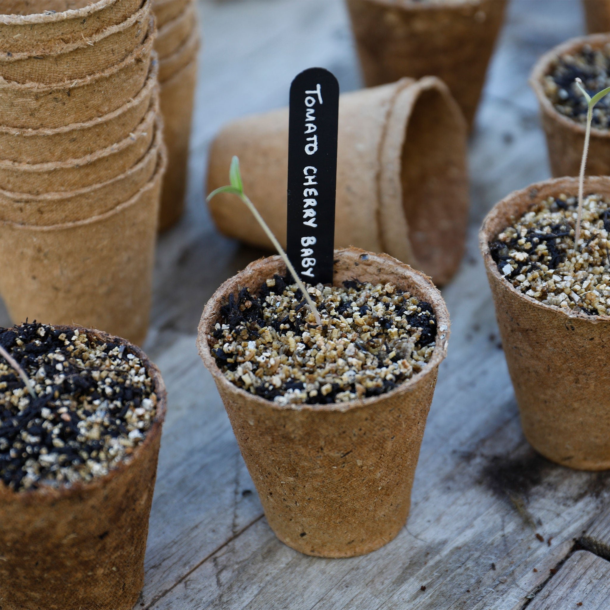 Marshalls Garden Plantpak Peat-Free Biodegradable Fibre Pots -  96 x 8cm Pack