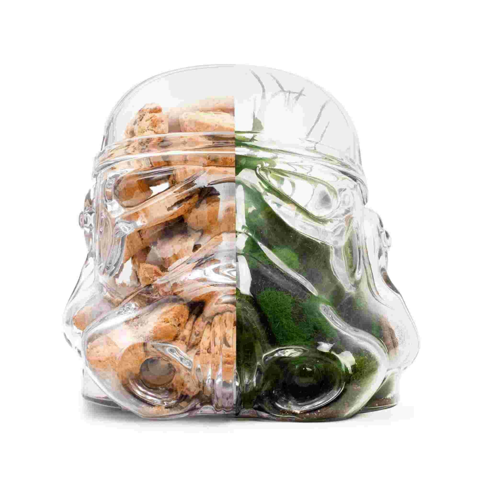 Thumbs Up Original Stormtrooper Terrarium & Cookie Jar