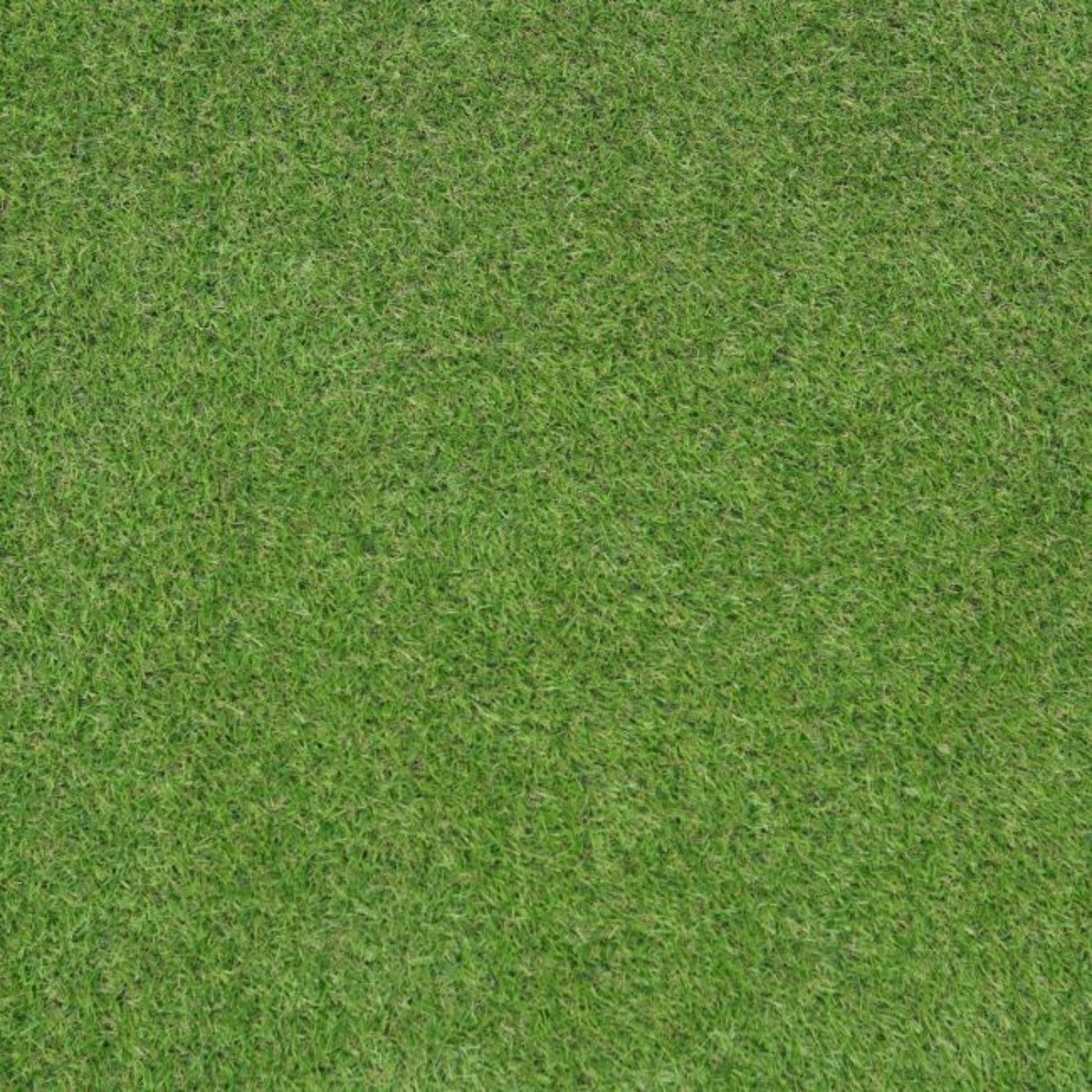 Mega Flooring Adelaide 20mm Outdoor Artificial Grass - 2m x 8m