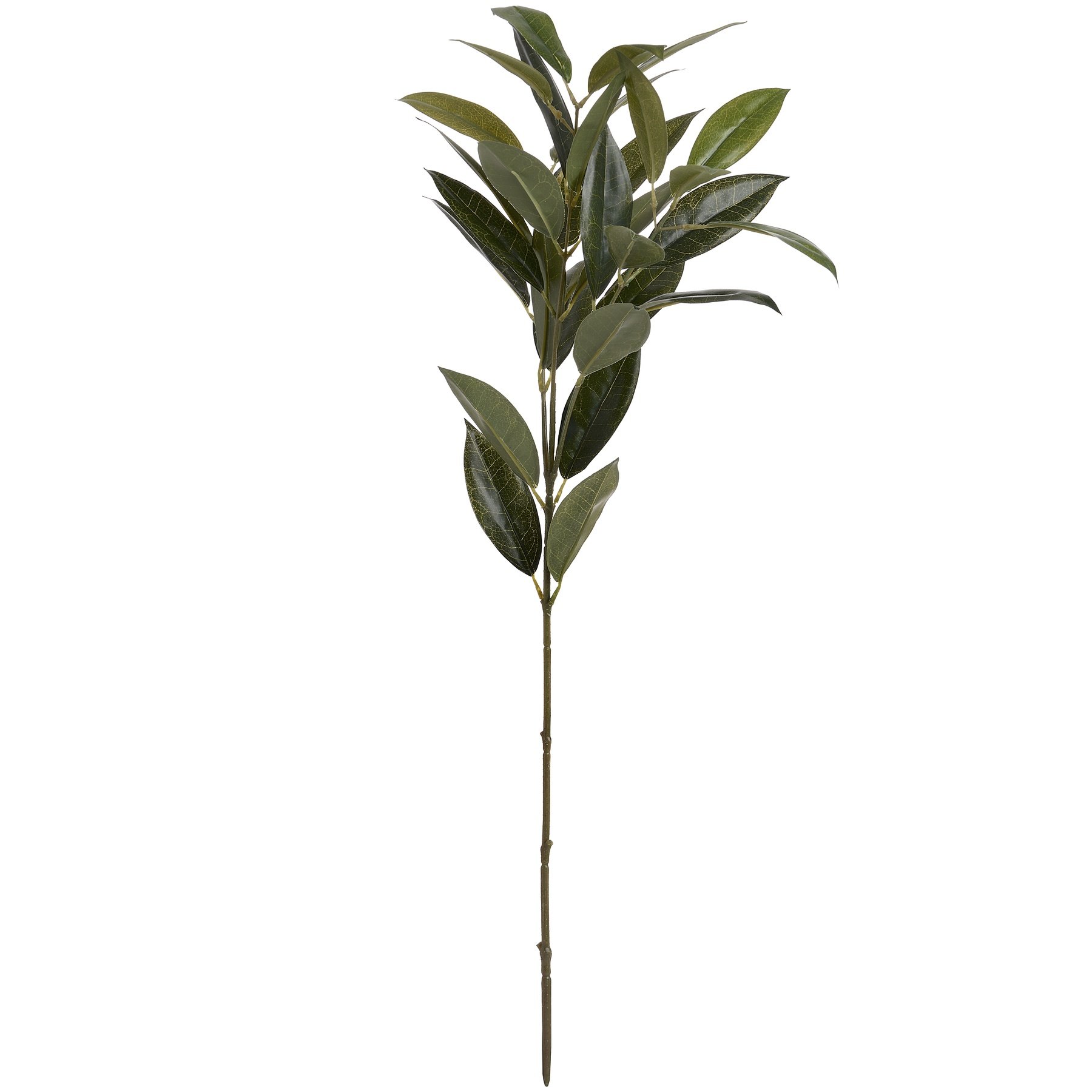 Hill Interiors Faux Bay Leaf Spray - Dark Green