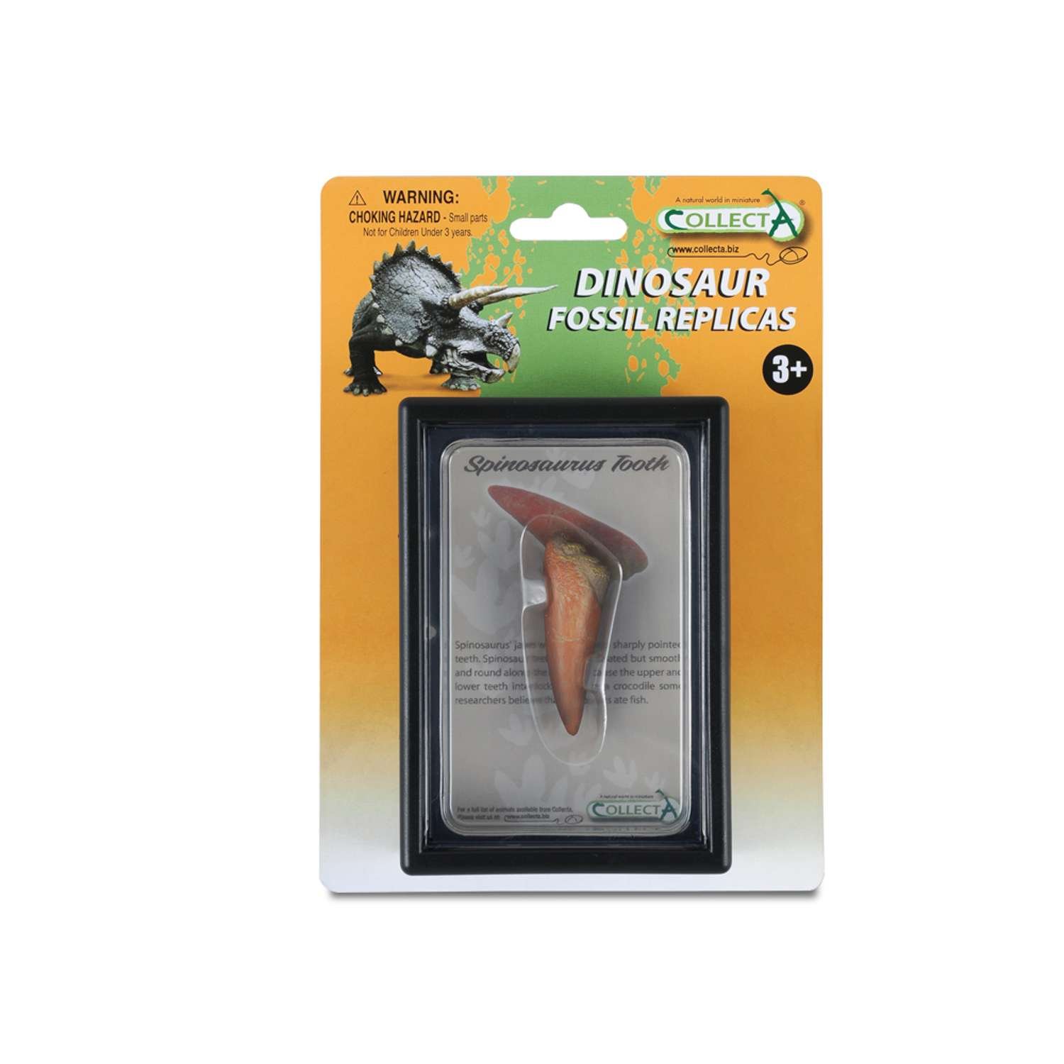 CollectA Spinosaurus Tooth In Display Case - 3 Years +