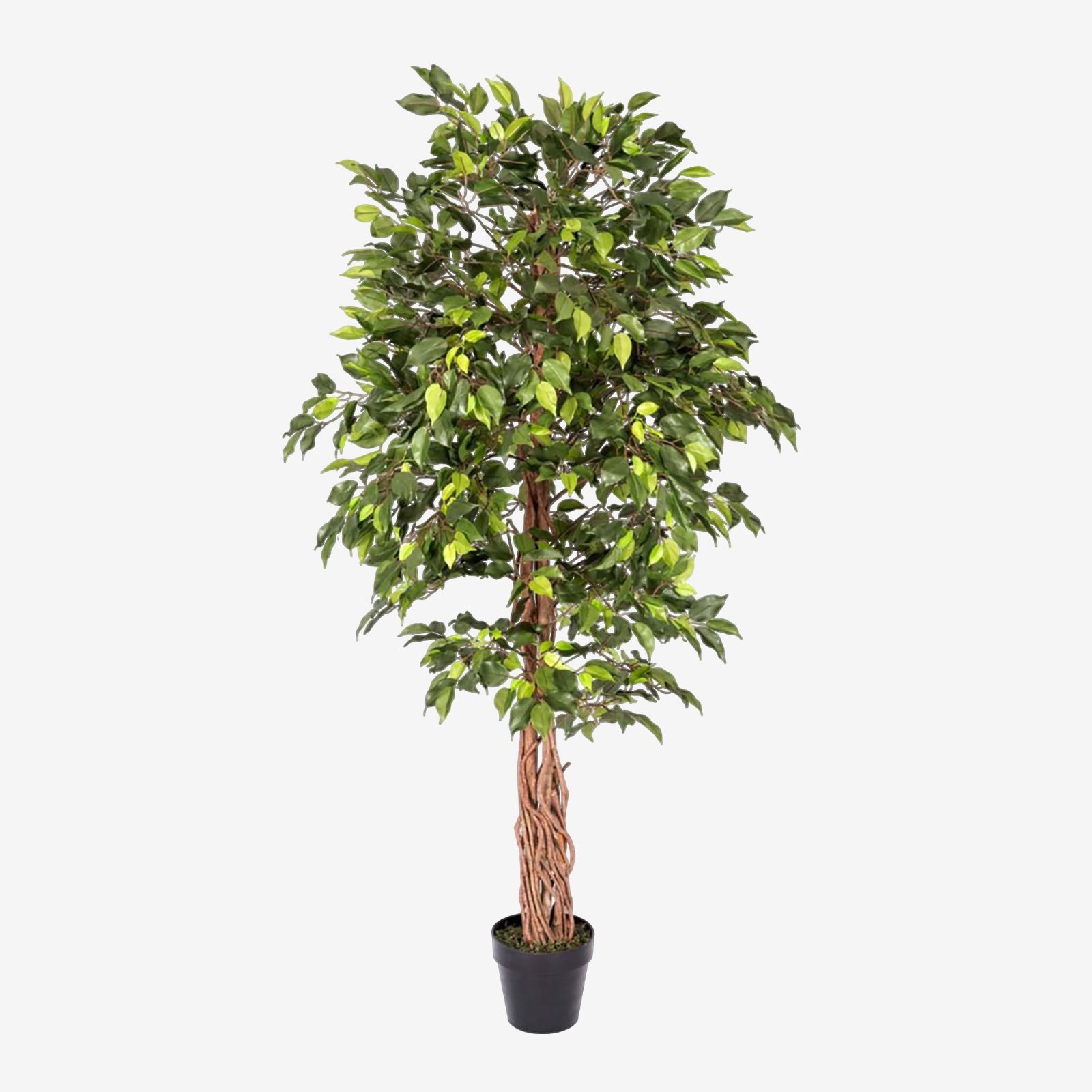Homescapes Handcrafted Ficus Artificial Tree - Green