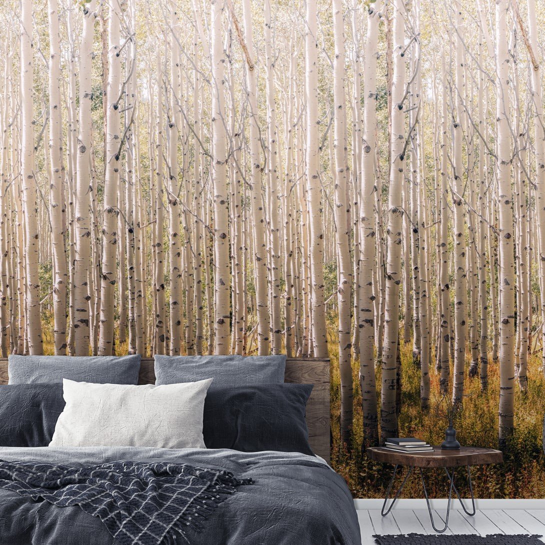 Grandeco  Birch Trees 3 lane Repeatable Textured Wallpaper Mural  - Neutral