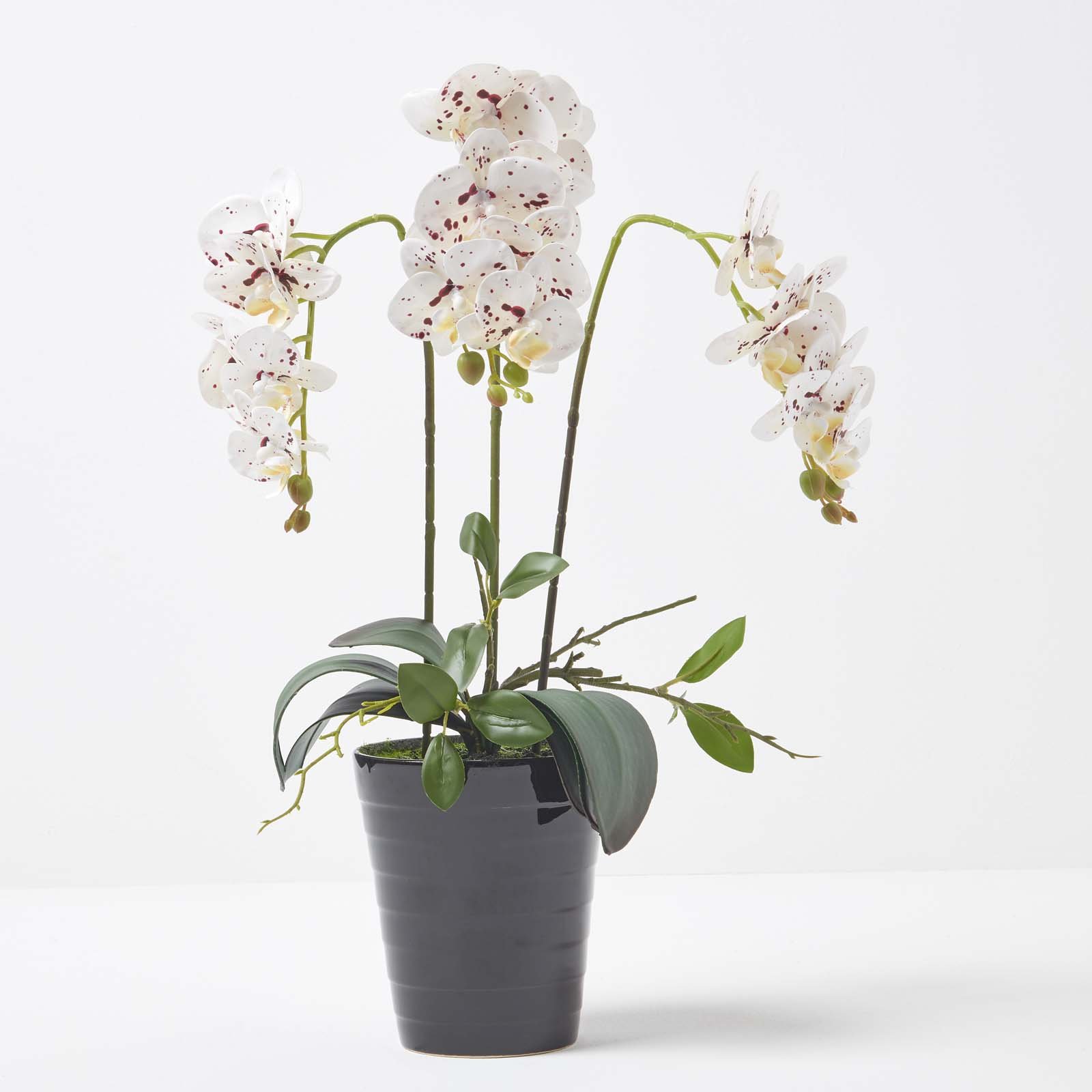 Homescapes Handcrafted Artificial Phalaenopsis Orchid in Ceramic Pot - White