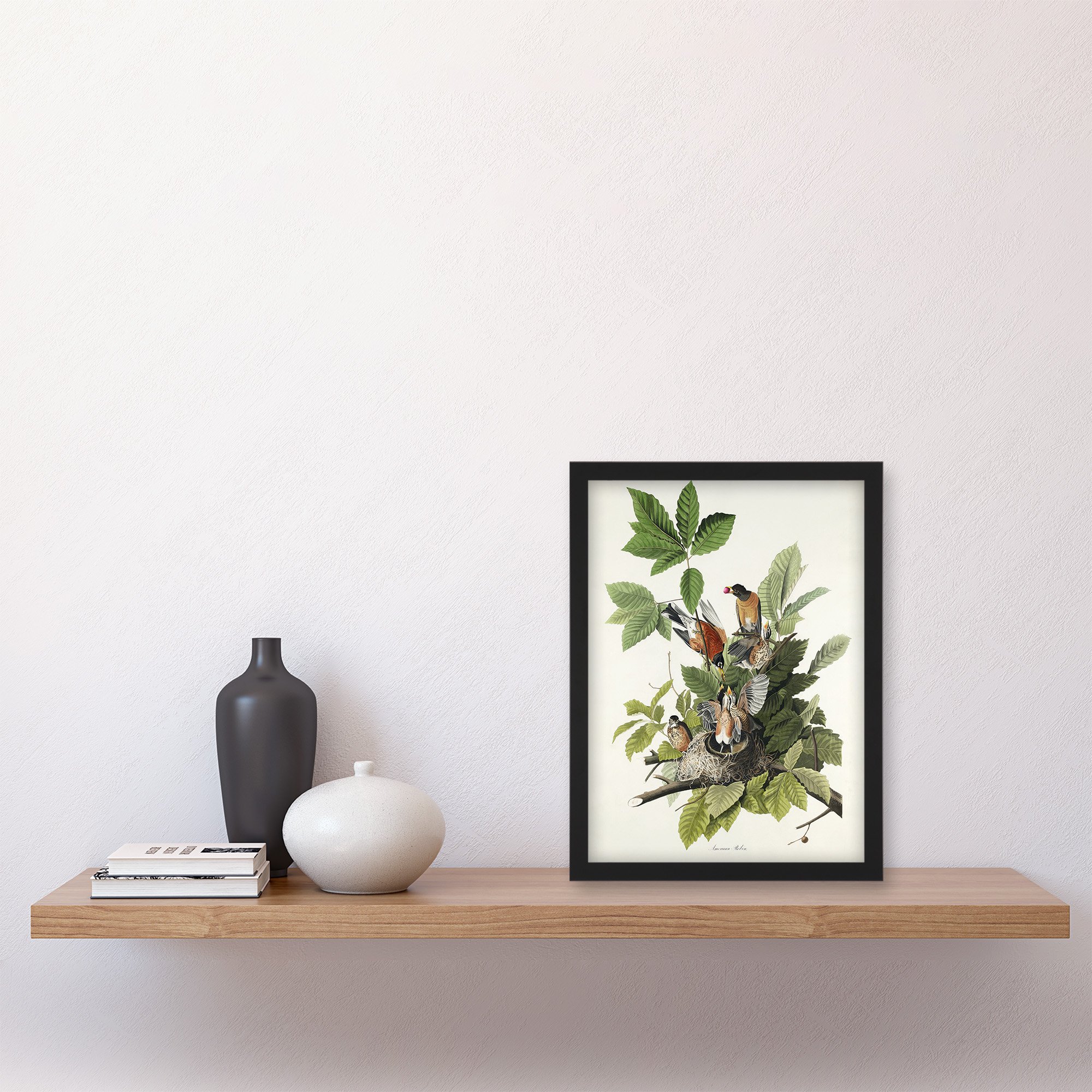 John James Audubon American Robin Birds Nest Framed Art Print - A4