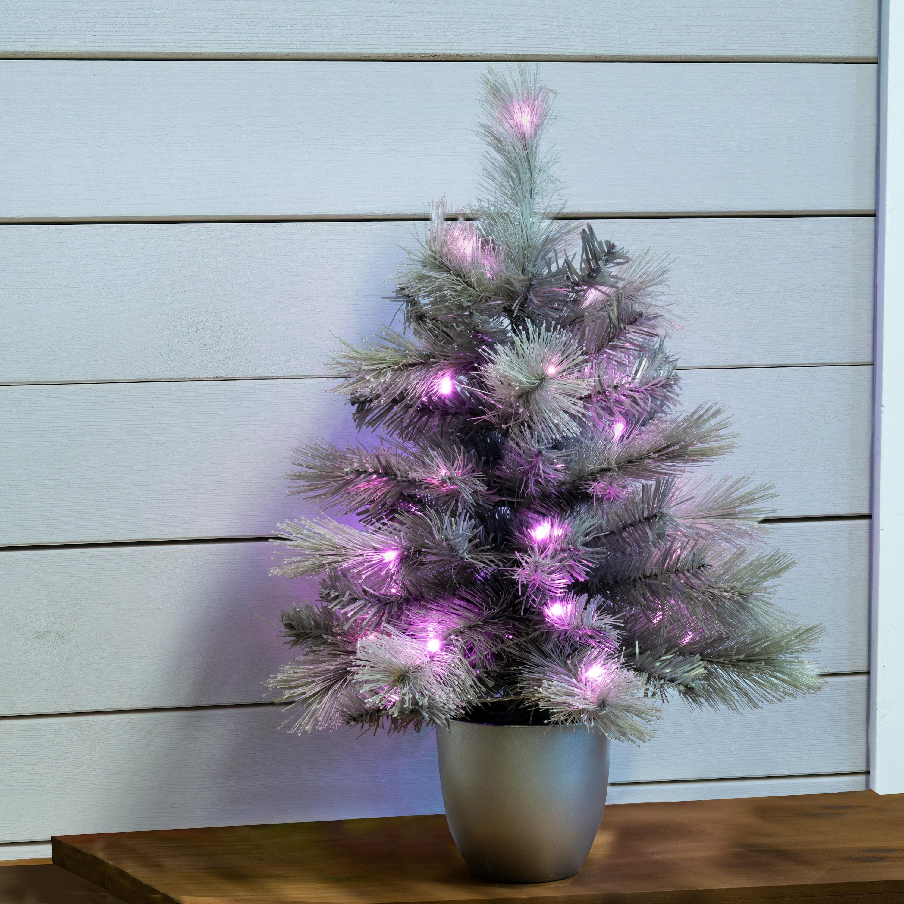 Christmas Tree World 2ft Potted Silver Majestic Pine Tree - Pink LED Lights