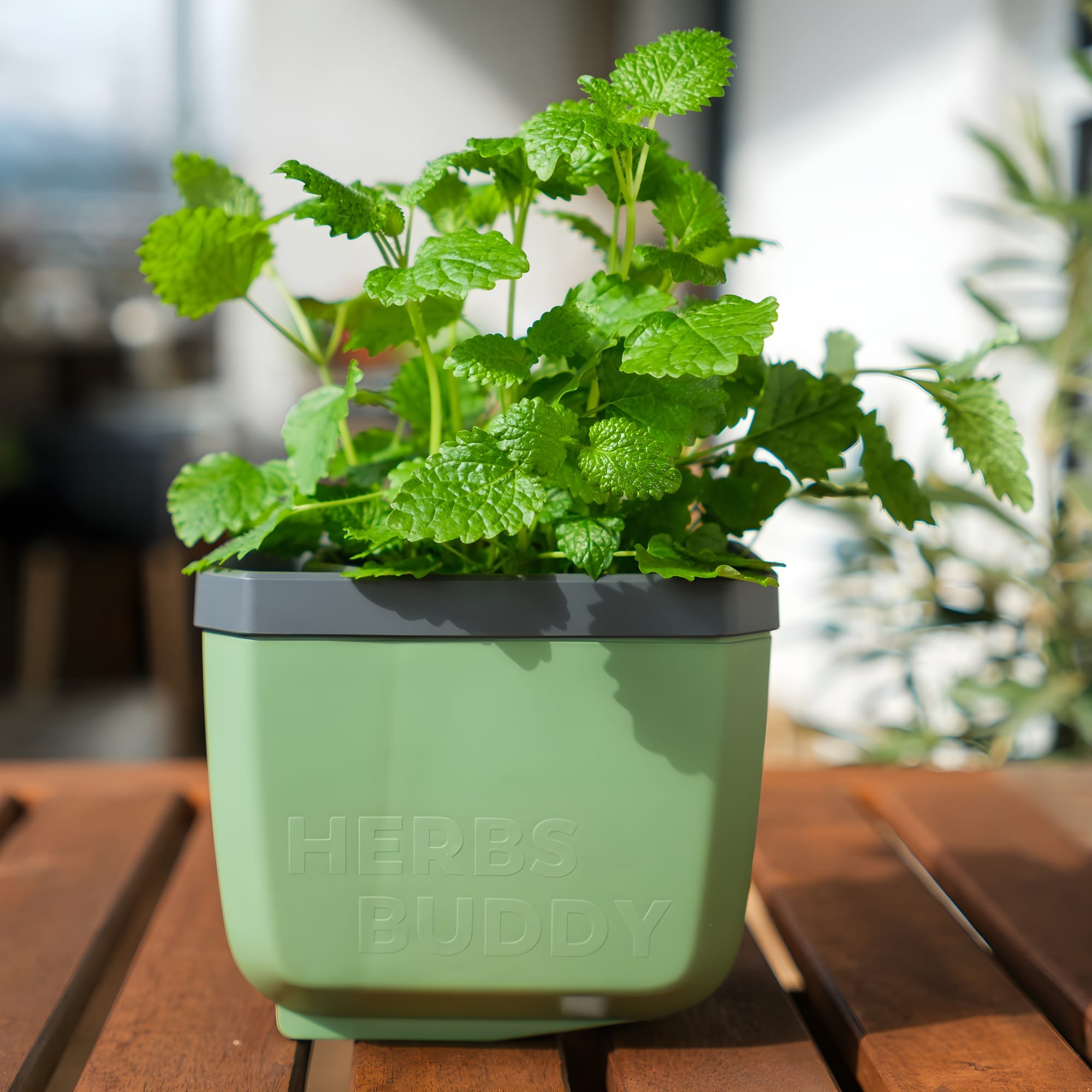 Gusta Garden Herbs Buddy Self-Watering Kitchen Herb Pot - Green 1 Piece