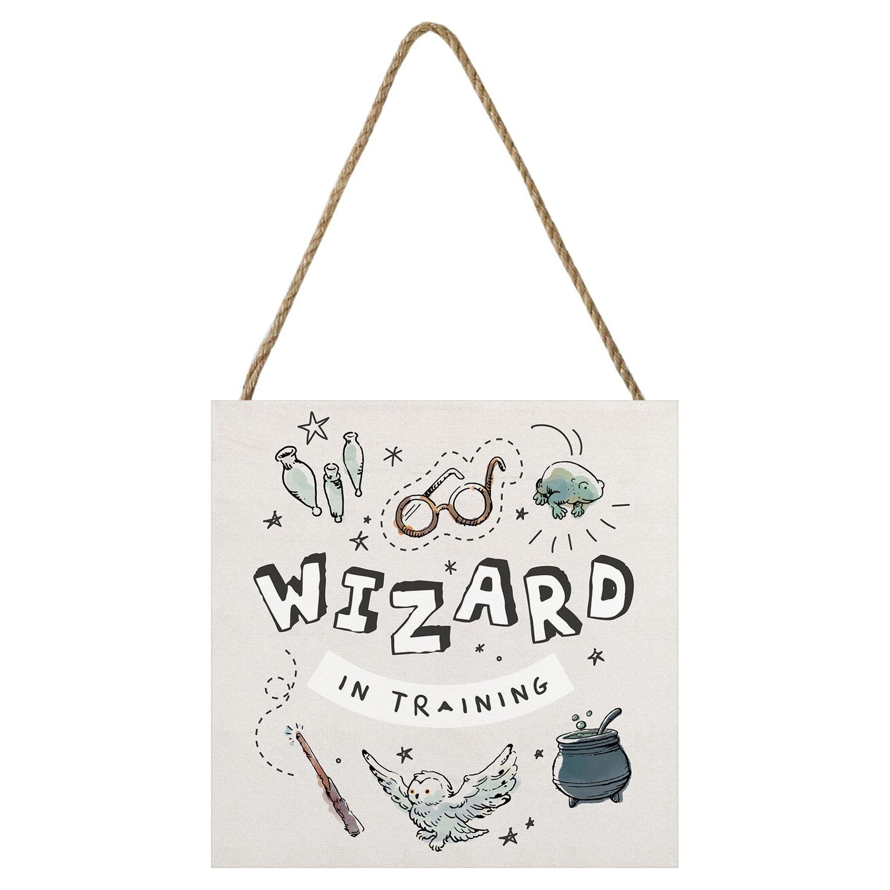 Harry Potter Wizard In Training Wooden Block - Grey