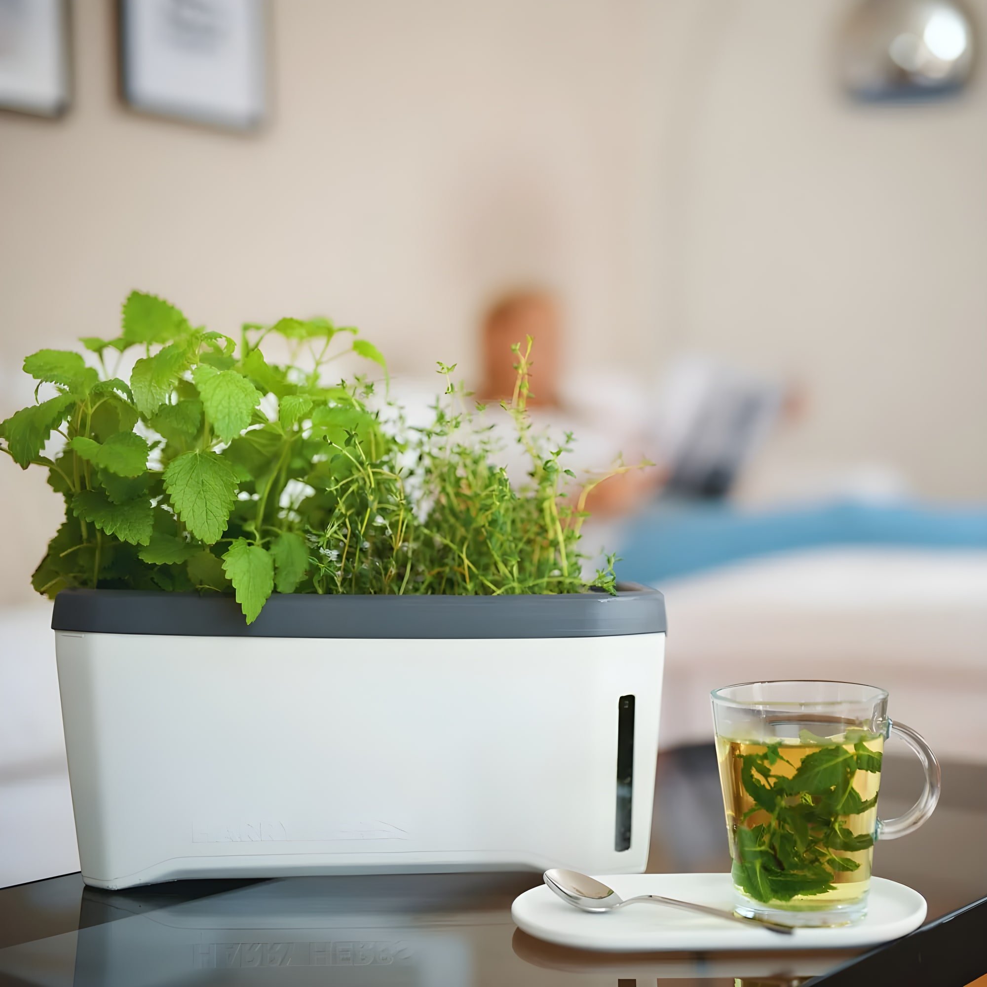 Gusta Garden Harry Herbs 4-in-1 Herb Pot with Lid and Water Reservoir - White