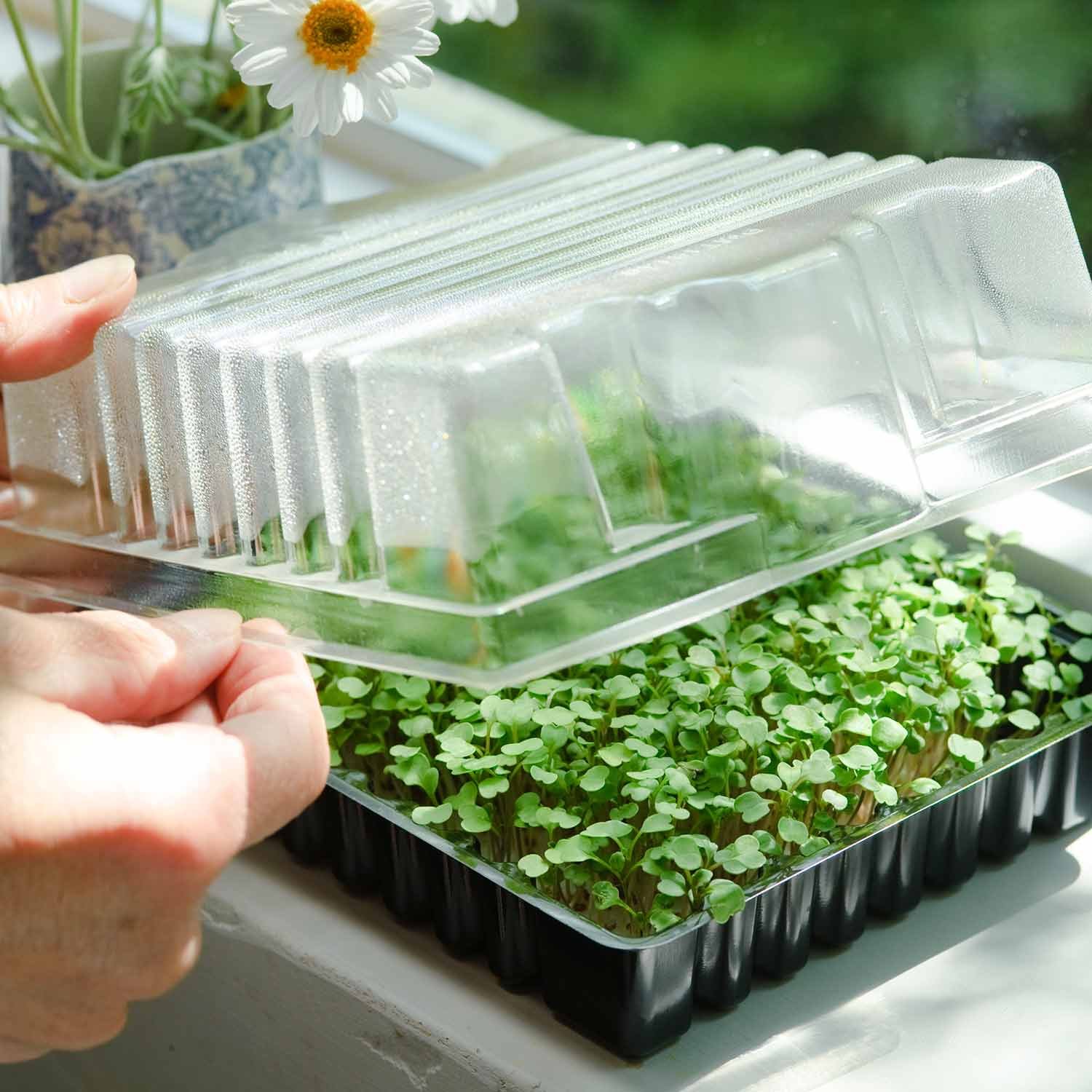 Marshalls Garden Micro Veg Gro-Tray Set – 5 Propagator Trays