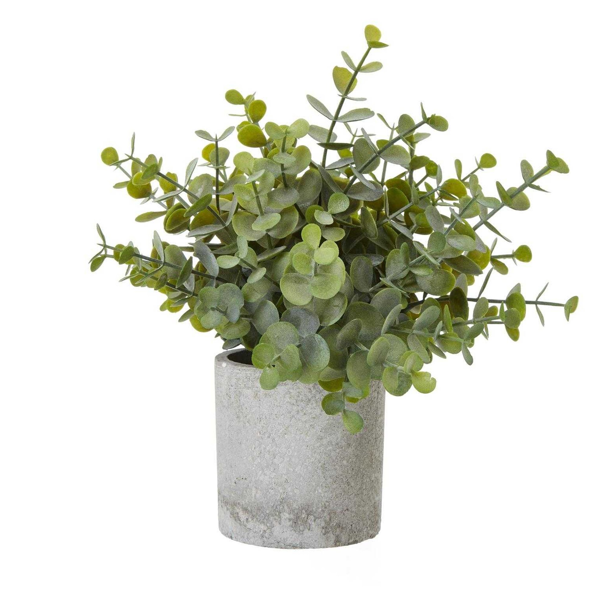 Hill Interiors Button Eucalyptus Artificial Plant - Green