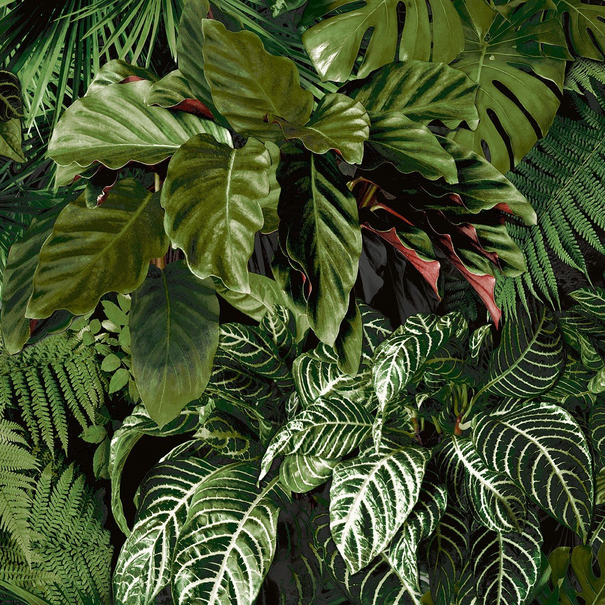 Grandeco Living Wall Tropical Fern Foliage Biophilic Textured Wallpaper - Green
