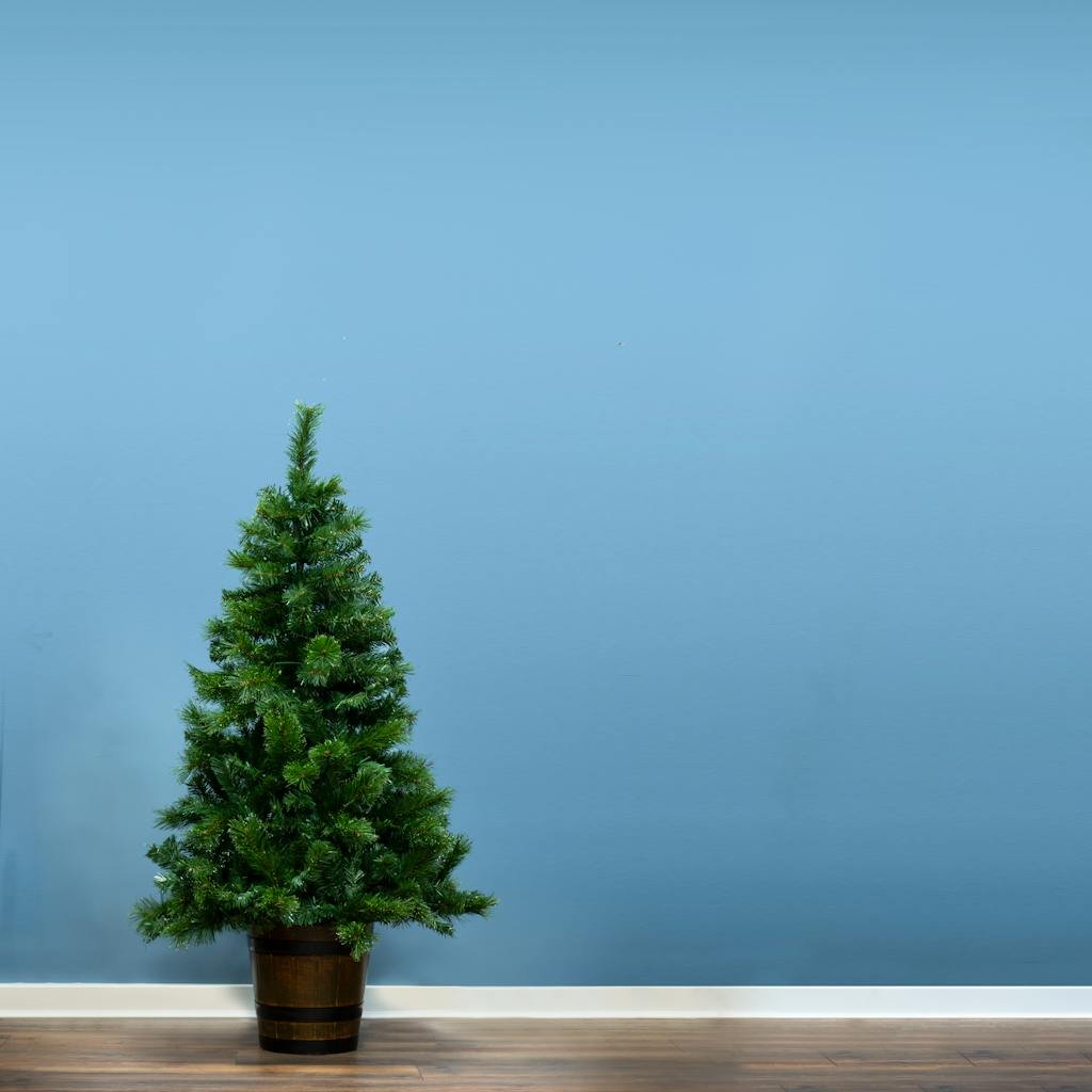 Christmas Tree World 5ft Majestic Dew Pine Indoor/Outdoor Potted Tree