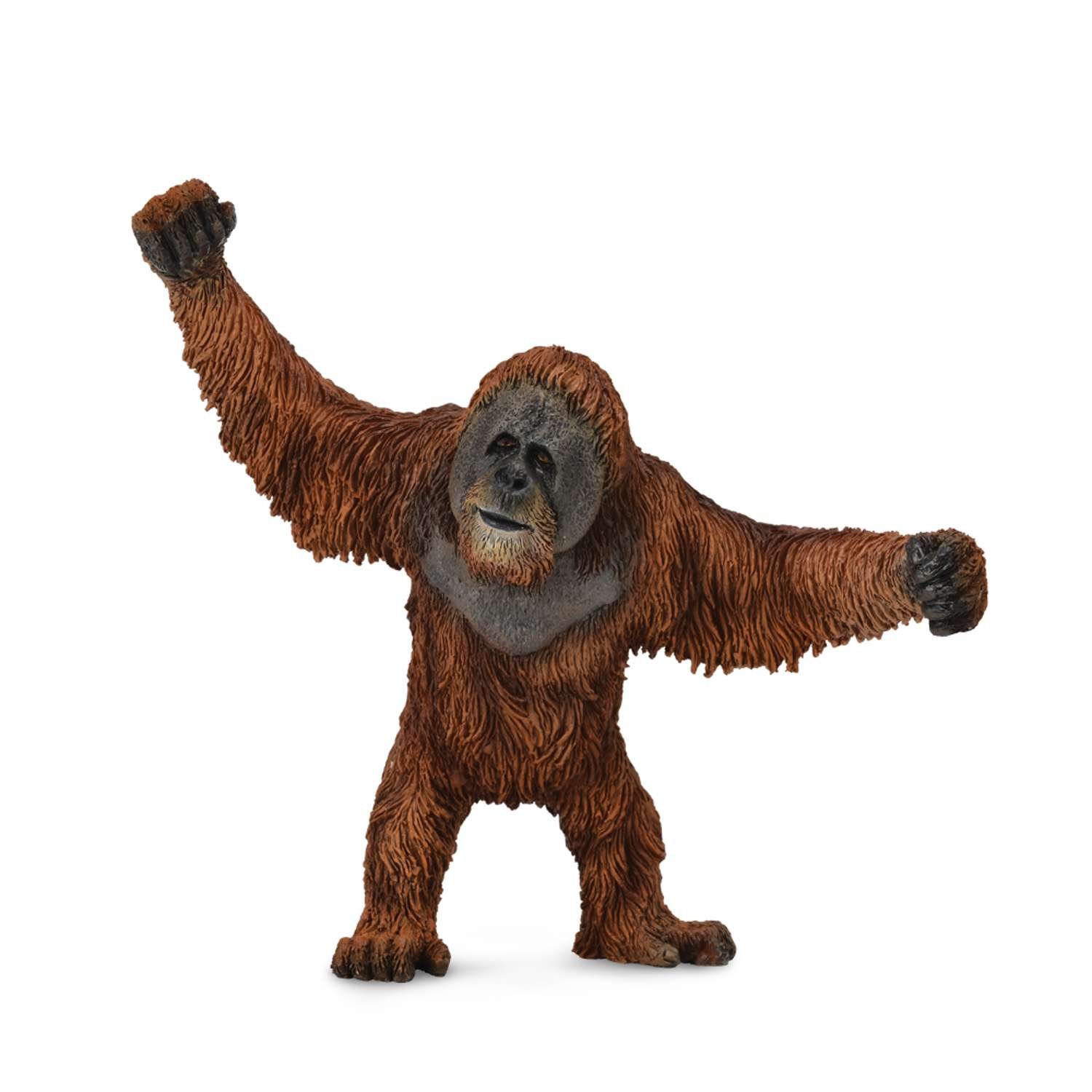 CollectA Orangutan - 3 Years +