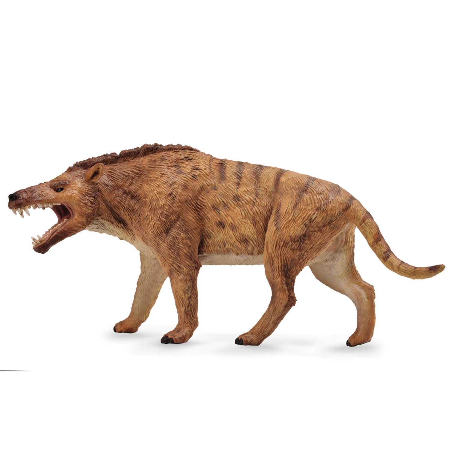CollectA Andrewsarchus 1:20 (Deluxe) - 3 Years +