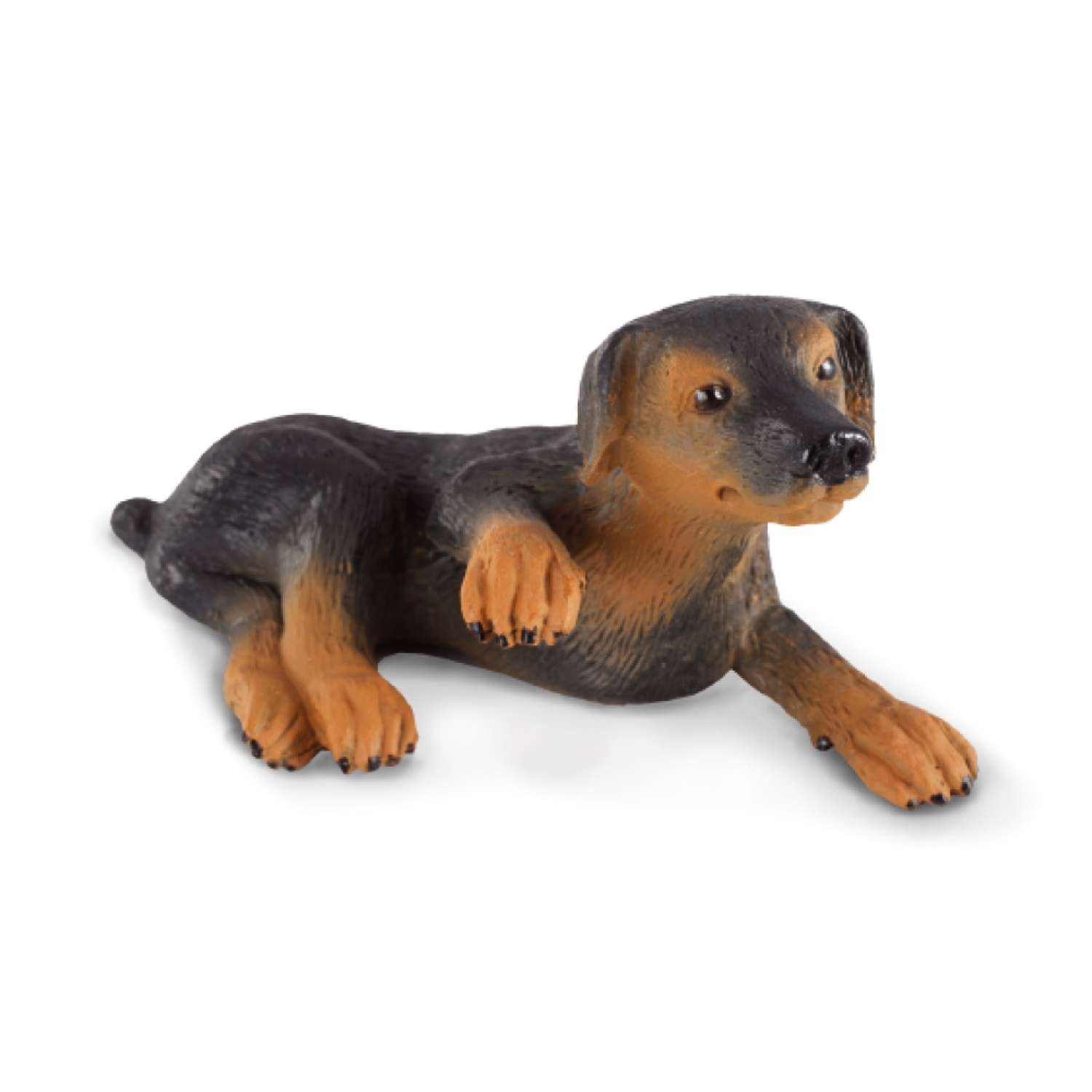 CollectA Doberman Pinscher Puppy - 3 Years +
