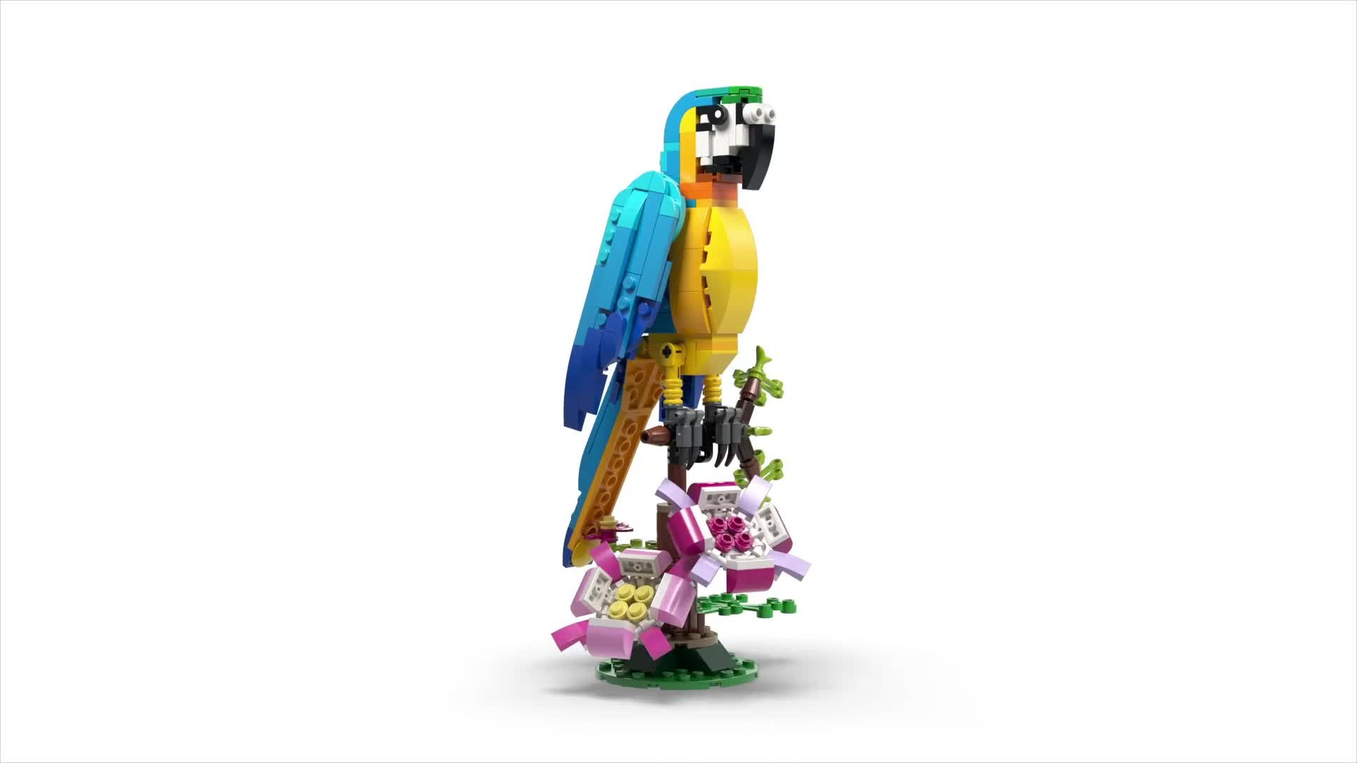 LEGO Creator 3-in-1 31136 Exotic Parrot Animals Building Set