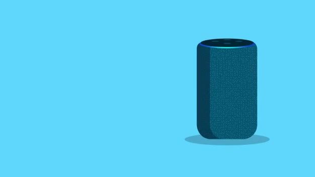 echo 3rd generation argos