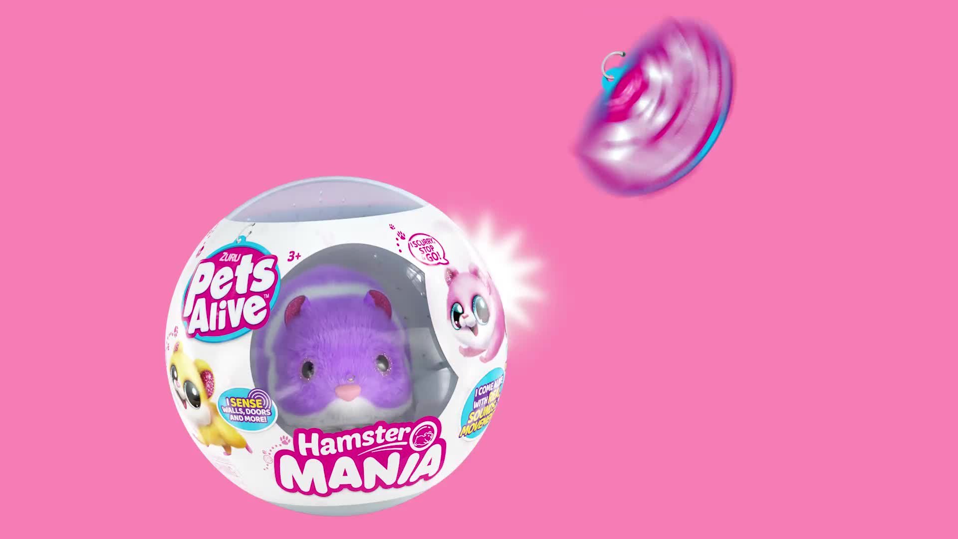 Buy Zuru Pets Alive Hamster Mania, Playsets and figures