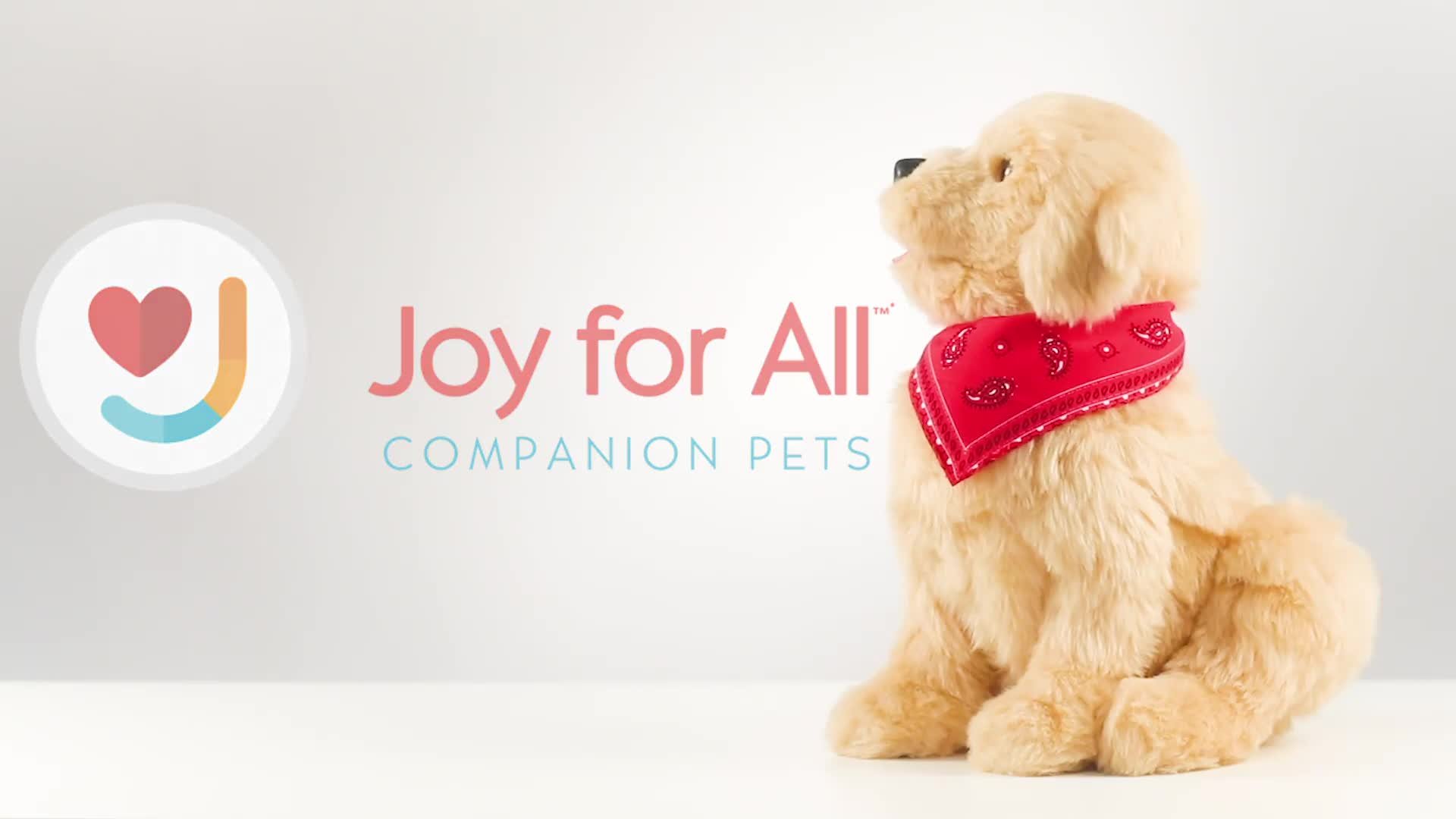 Buy Joy For All Companion Pet Pup Golden | Health accessories | Argos