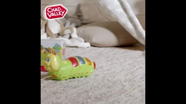 Argos pull along toys online