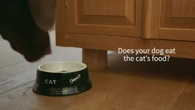 Argos shop cat bowl