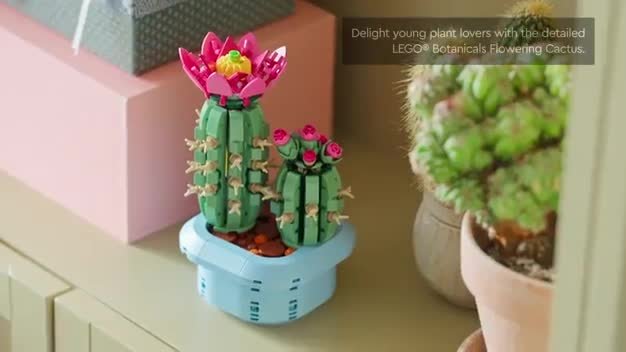 Buy LEGO Botanicals Flowering Cactus - Artificial Plants 11509 | LEGO |  Argos