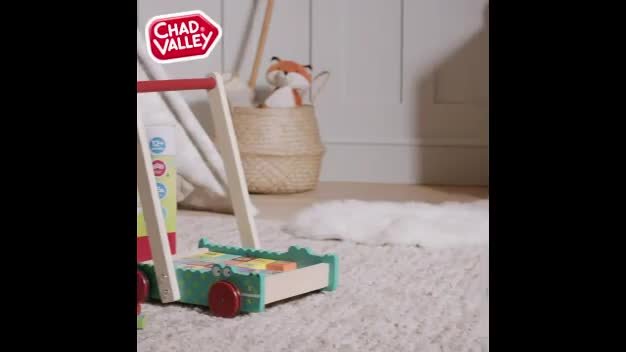 Argos baby walker with hot sale bricks