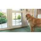 Argos dog flap store medium