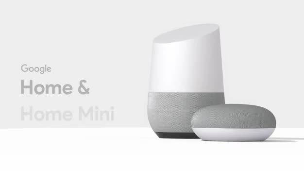 Google Home Mini - Chalk