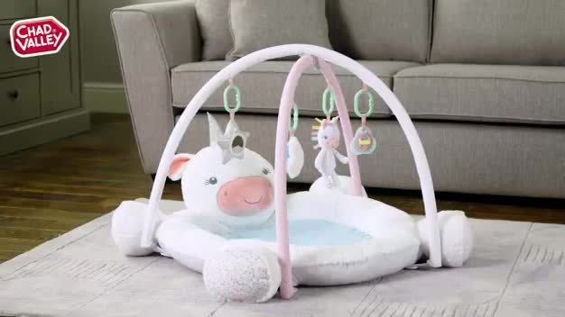 argos baby activity gym