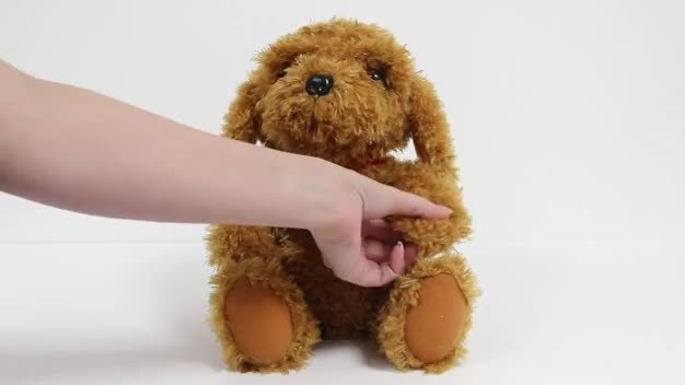 singing waffle dog toy