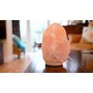 Himalayan salt store lamp argos